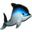 EasyBits Blue Dolphin