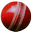 EA SPORTS (TM) Cricket 09