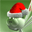 Free Christmas Dreams Screensaver icon