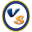 Video Snooper