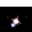 Albireo Target Cygnus X1