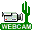 CactusVision WebCam