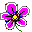 Beautiful Iris icon