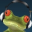 Music-Frog