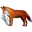 FoxRecorder