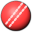 Cricket Statz 2009 Pro