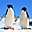 Polar Wildlife Free Screensaver