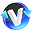 VASA Video Converter icon