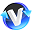 VASA Video Converter