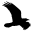 Raven Pro