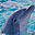 Smart Dolphins Free Screensaver