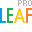 Microsoft LEAF Professional 2013