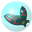 Bubble Bug