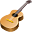 MagicScore Guitar