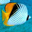 Underwater Picture Screensaver icon