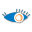CyeWeb OneChannel