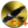 Falcon C++