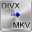 Free DIVX To MKV Converter