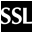 SSL Network IO Controller