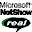 Placeholder for NetShow RealPlayer Hanging Up Installs