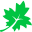 Maple Reader