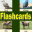 Move Ahead Software's Flashcards