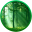 3Planesoft Forest Walk 3D Screensaver