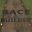 Race Track Builder
