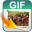 iPubsoft GIF Generator