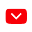 Video Downloader Accelerator