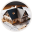 Ashampoo 3D CAD Architecture 12