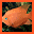 Aquarium Life Screensaver icon
