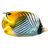 3D Fish School Screen Saver icon