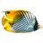 3D Fish School Screen Saver