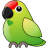 Parrot BitTorrent Client