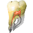 3D Tooth Atlas icon