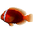 Tomato Clownfish icon