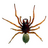 SSH2 Spider