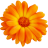 Wildflowers 3D Screensaver icon