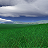 Green Fields 3D Screensaver