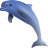Dolphin Aqua Life Screensaver