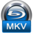 4Videosoft Blu-ray to MKV Ripper