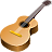 MagicScore Guitar