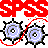 SPSS Viewer icon