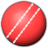 Cricket Statz Personal Edition icon