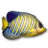 Fish Desktop Wallpaper icon