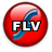 FLV to AVI DIVX MP4 MPEG RMVB WMV Converter