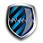 PC Registry Shield icon