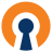 OpenVPN Client icon
