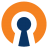 OpenVPN Client